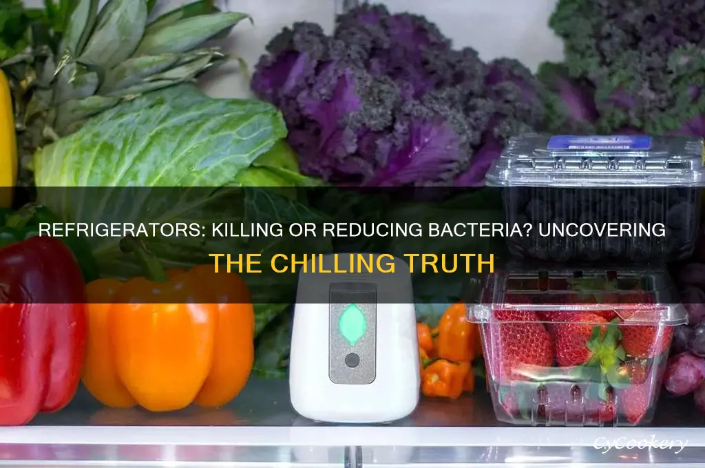 does refrigerator kill bacteria or reduce them