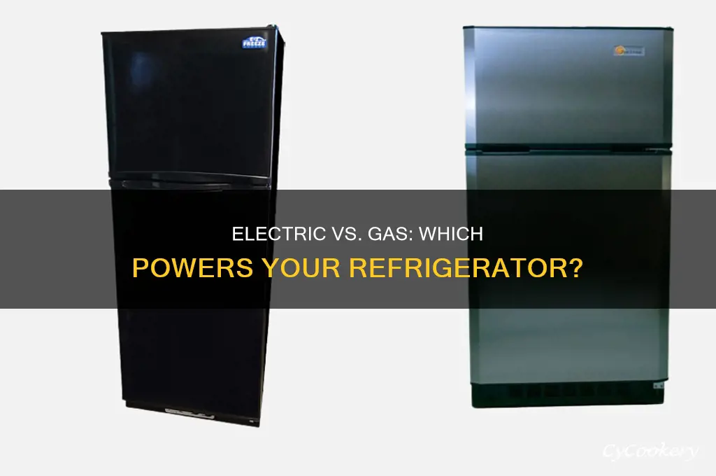 does refrigerators run on electric or gas