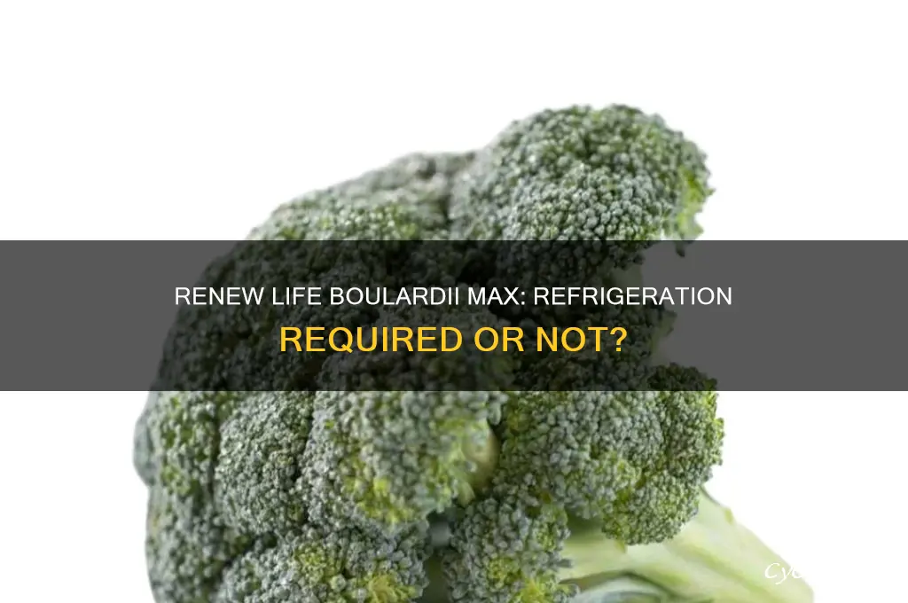does renew life boulardii max have to be refrigerated