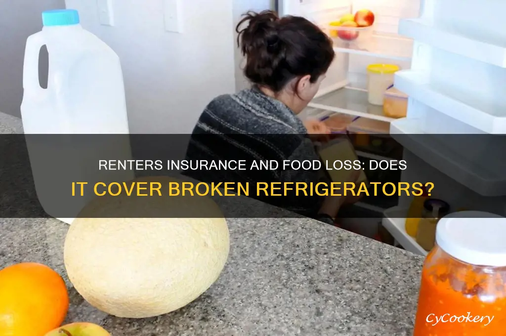 does renters insurance cover food loss from broken refrigerator