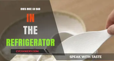 Does Refrigerated Rice Go Bad? Storage Tips and Safety Guide