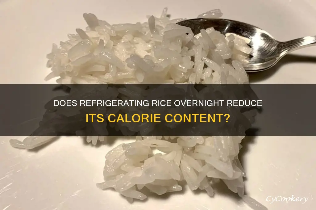does rice lose calories when refrigerated overnight