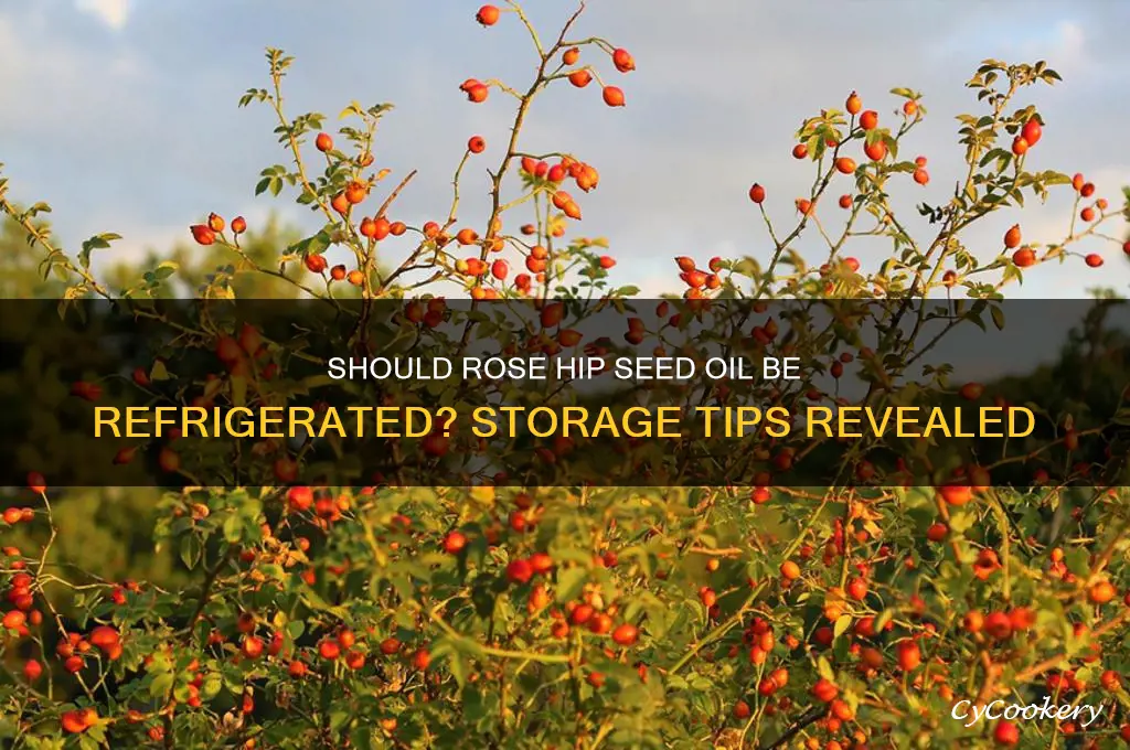 does rose hip seed oil be refrigerated