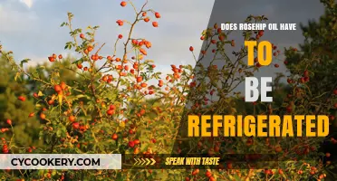 Should Rosehip Oil Be Refrigerated? Storage Tips for Maximum Benefits