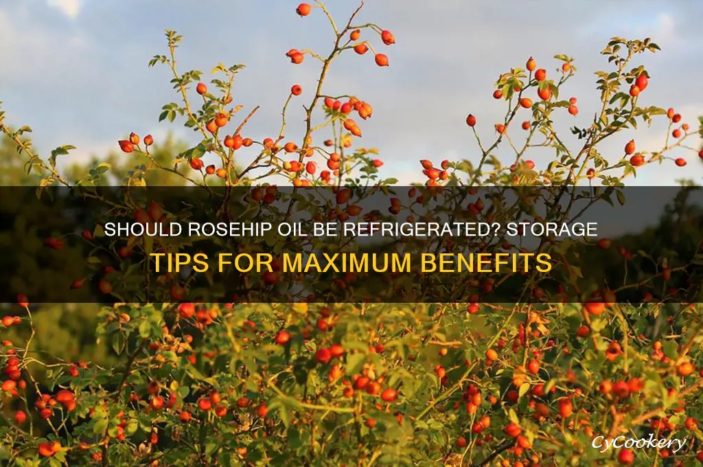 does rosehip oil have to be refrigerated