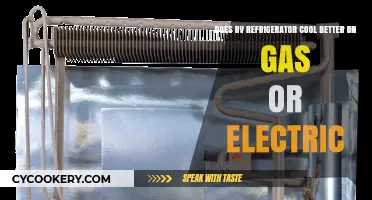 Gas vs. Electric: Which Powers Your RV Fridge Better?