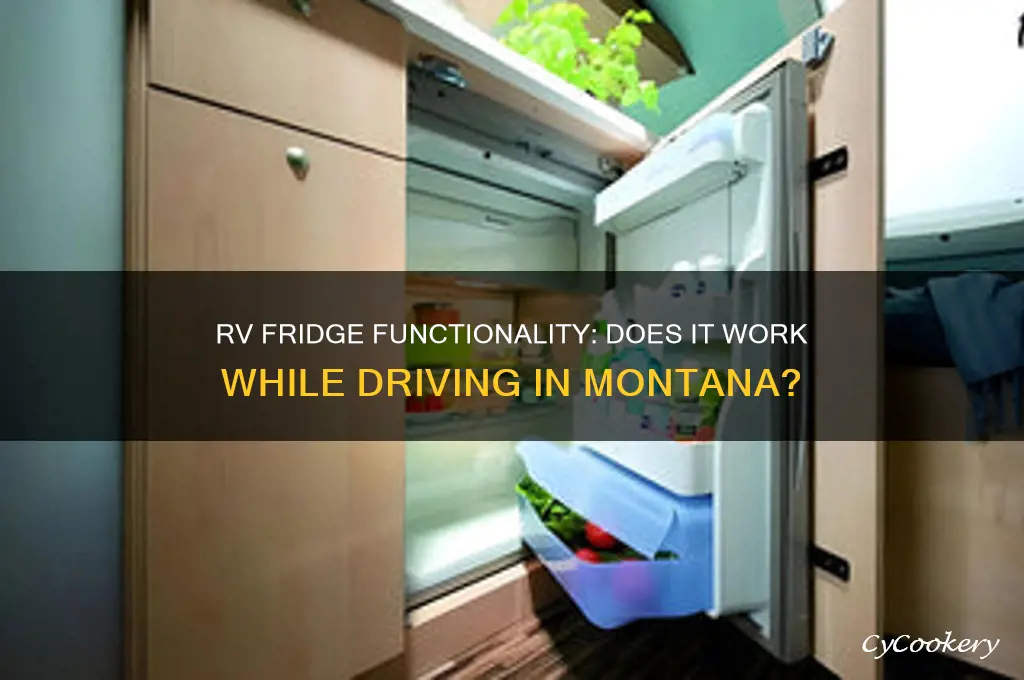 does rv refrigerator work while driving montana