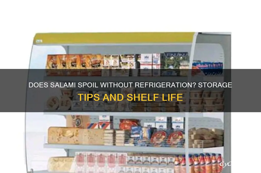 does salami go bad if not refrigerated