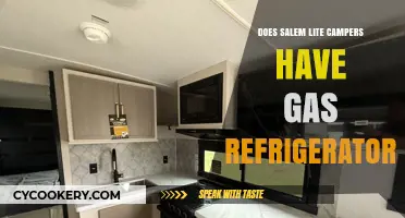 Salem Lite Campers: Gas Refrigerators or Electric Models?