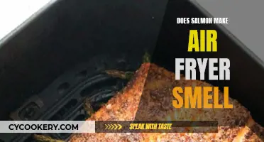 Air Frying Salmon: What's the Smell?