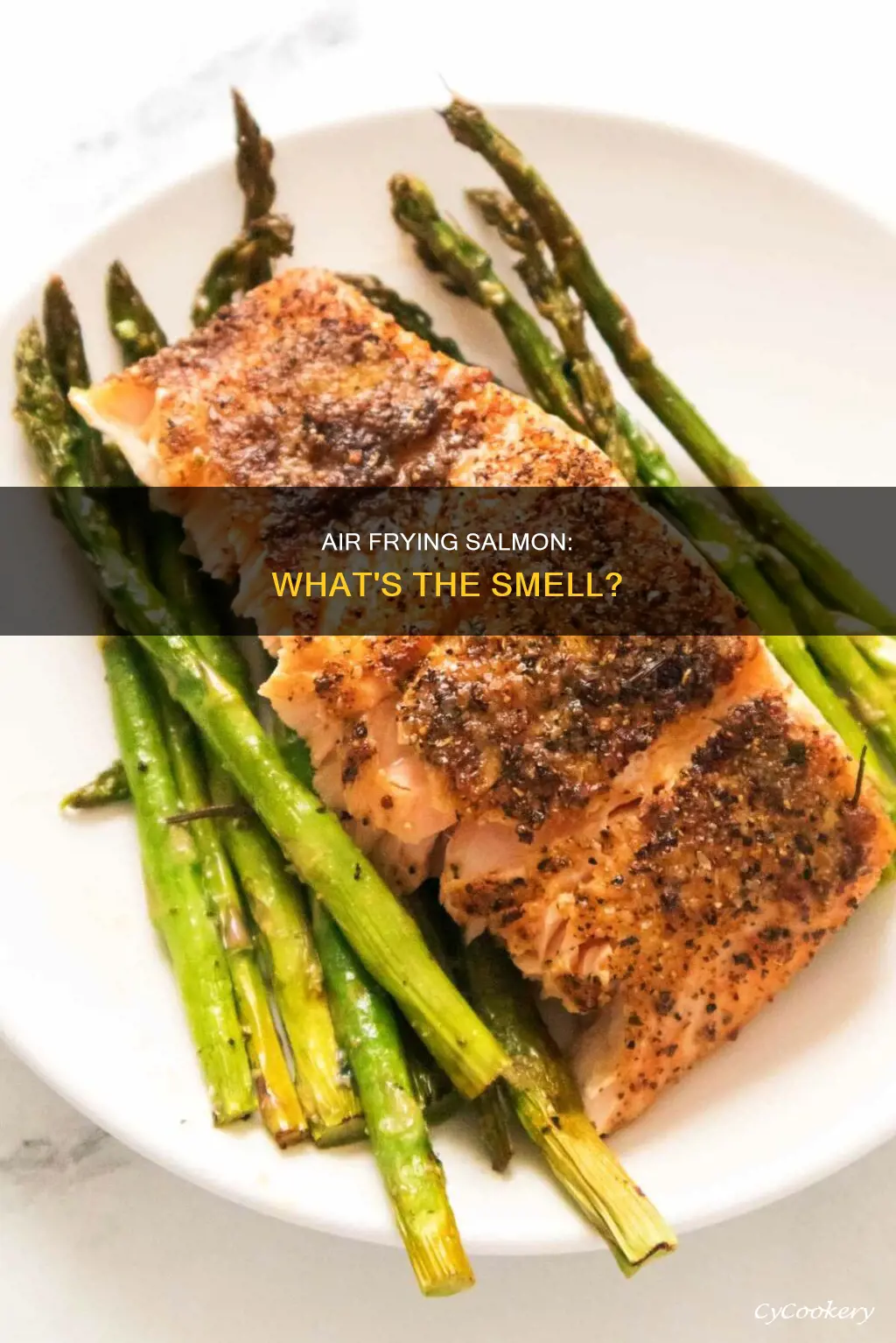 does salmon make air fryer smell