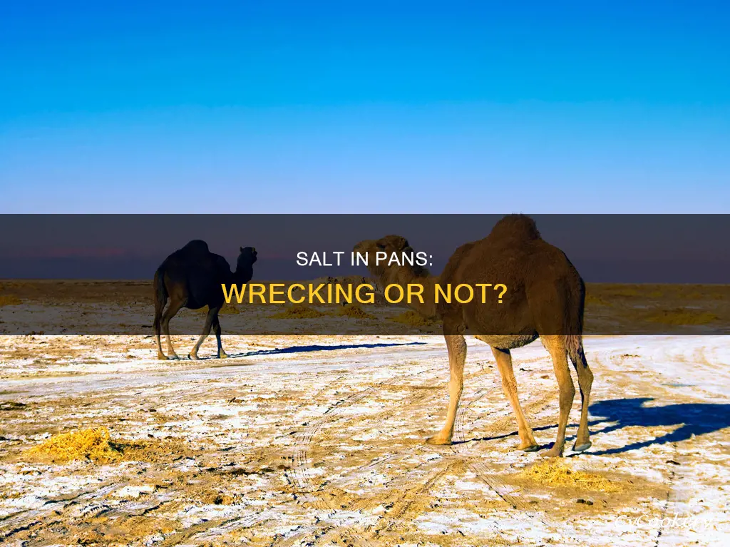 does salt in a pan wreck it