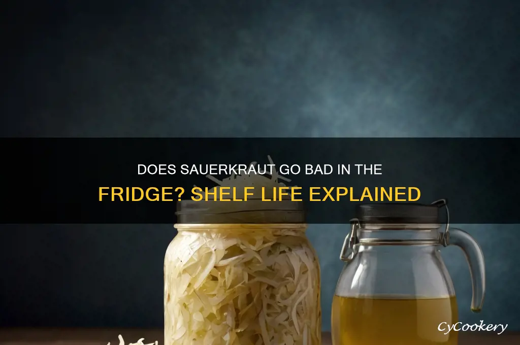 does sauerkraut go bad in the refrigerator