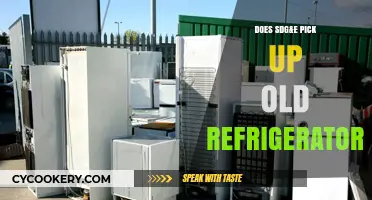 Does SDG&E Pick Up Old Refrigerators? Recycling Options Explained