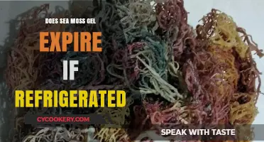 Does Refrigerated Sea Moss Gel Expire? Shelf Life Explained