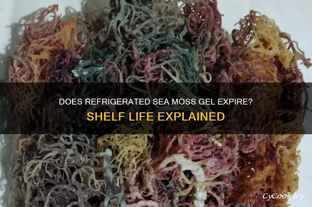 does sea moss gel expire if refrigerated