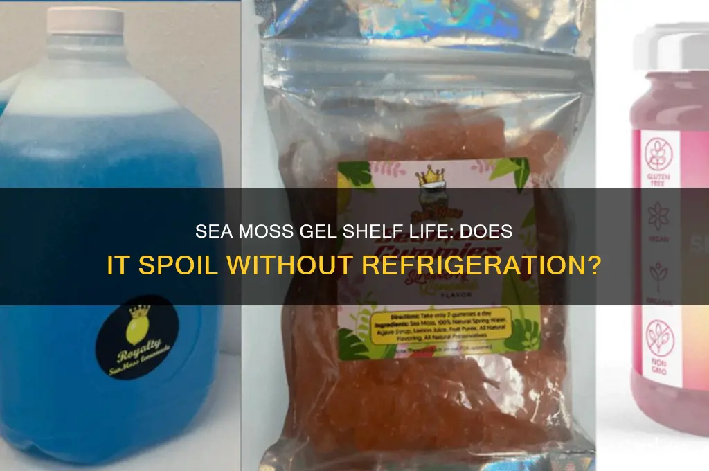does sea moss gel go bad if not refrigerated