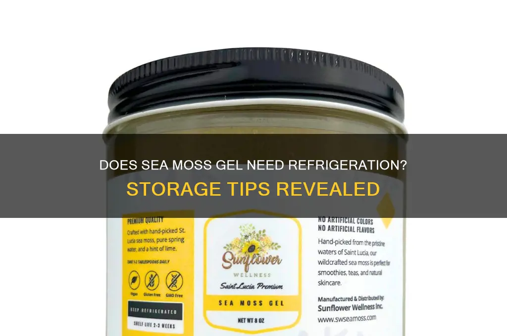 does sea moss gel have to be refrigerated
