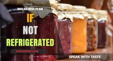 Sea Moss Storage: Does It Spoil Without Refrigeration?