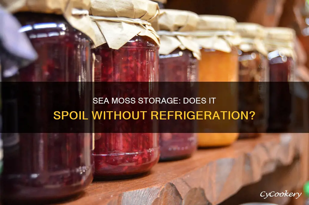 does sea moss go bad if not refrigerated