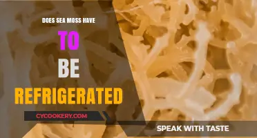 Does Sea Moss Need Refrigeration? Storage Tips for Freshness