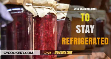 Sea Moss Storage: Does It Need Refrigeration or Not?