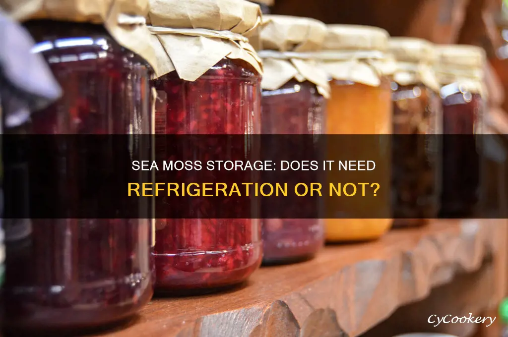 does sea moss have to stay refrigerated