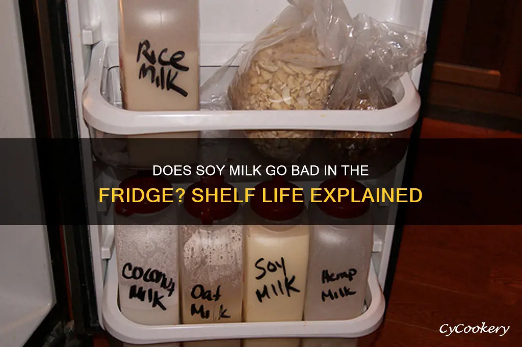 does soy milk go bad if refrigerated
