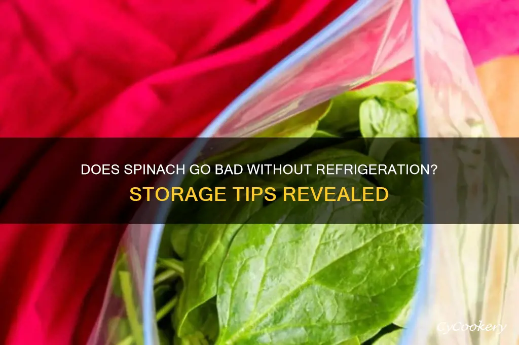 does spinach go bad if not refrigerated
