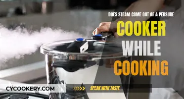 How Pressure Cookers Work: Steam, Sealed, Cooking