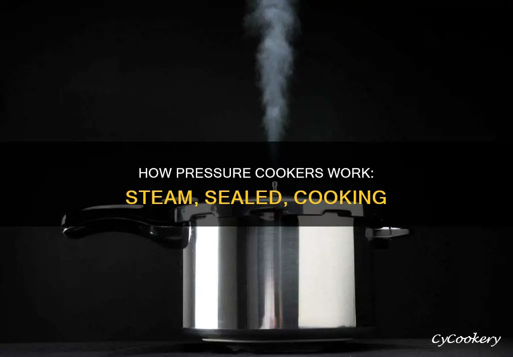 does steam come out of a persure cooker while cooking