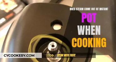 Instant Pot Steam: What, Why, and How?