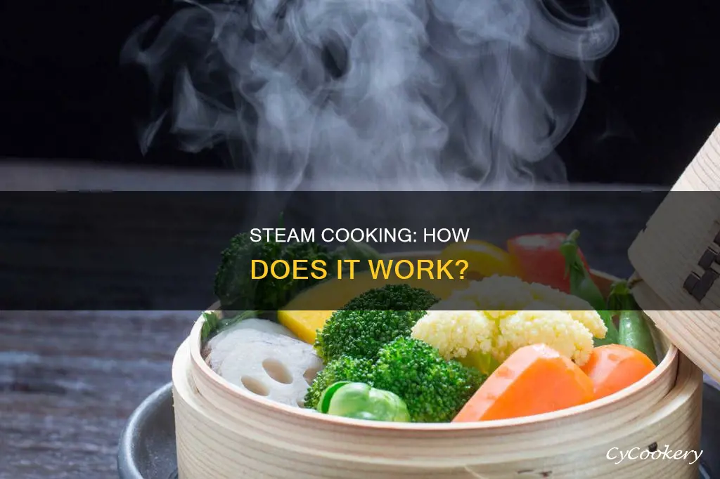 does steam cook food