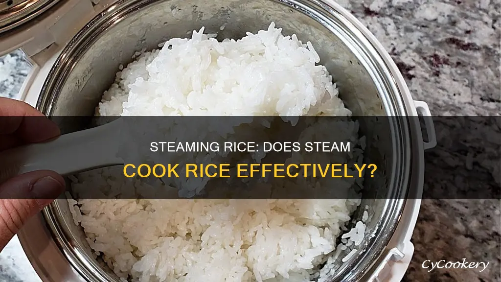 does steam cook rice