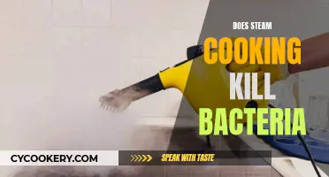 Steam Cooking: Bacteria Killer or Friendly Helper?