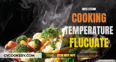 Steam Cooking: Temperature Fluctuations and Your Food