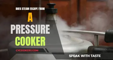 Steam Escape from a Pressure Cooker: What You Need to Know