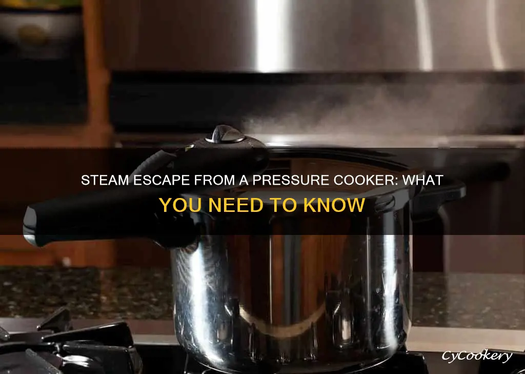 does steam escape from a pressure cooker