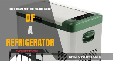 Can Steam Damage Plastic Components Inside Your Refrigerator?