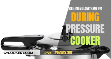 Steam Release in Pressure Cookers: What, Why, and How?