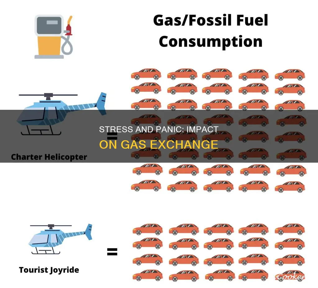 does stress or pan decrease gas exchange nursing
