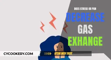 Stress and Panic: Impact on Gas Exchange
