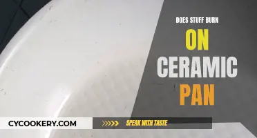 Ceramic Pans: Do They Prevent Burning?