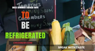 Should Summer Squash Be Refrigerated? Storage Tips for Freshness