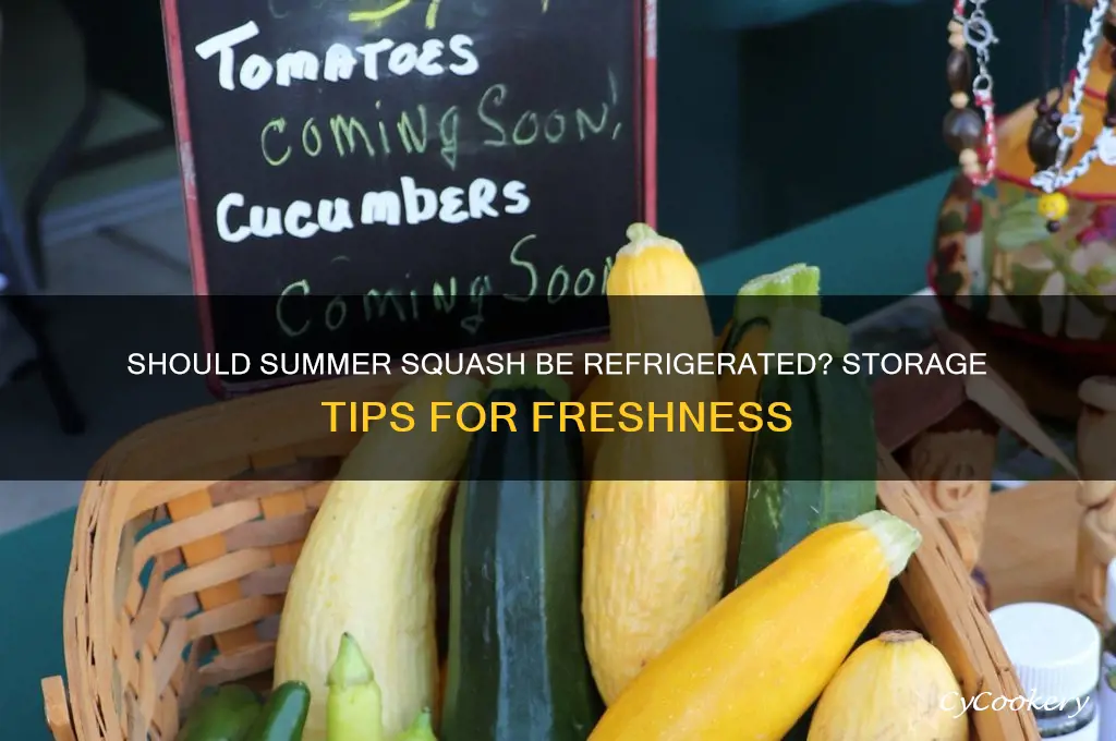 does summer squash have to be refrigerated