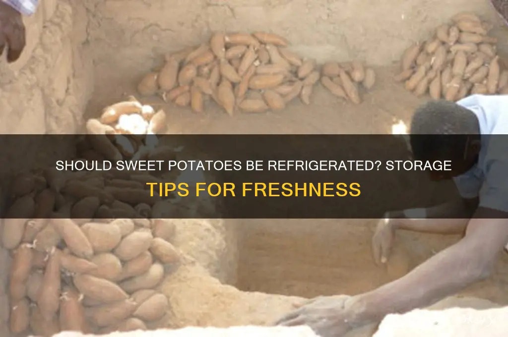 does sweet potato have to be refrigerated