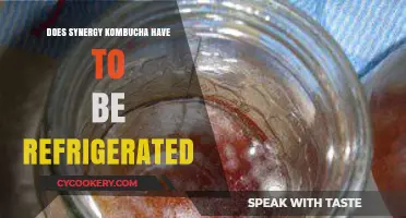 Does Synergy Kombucha Require Refrigeration? Storage Tips Revealed