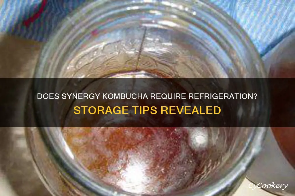does synergy kombucha have to be refrigerated