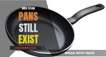 Teflon Pans: Still Around or a Thing of the Past?