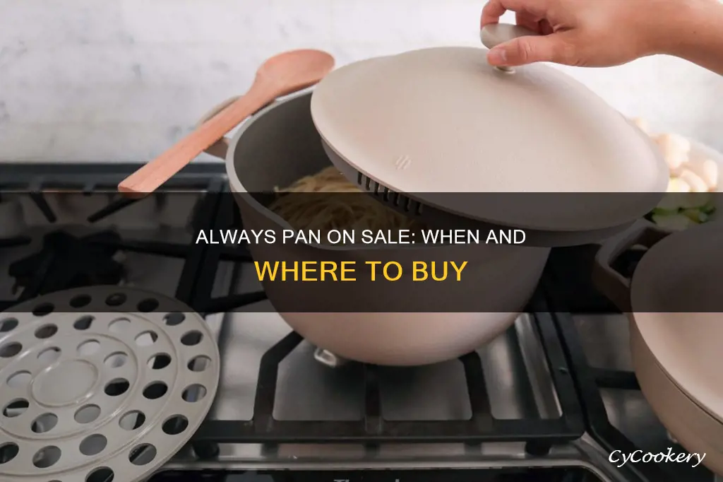 does the always pan ever go on sale